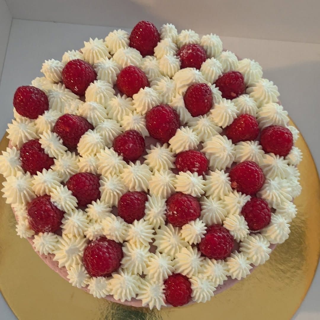 Creazione 66